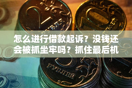 北京怎么进行借款起诉？没钱还会被抓坐牢吗？抓住最后机会！