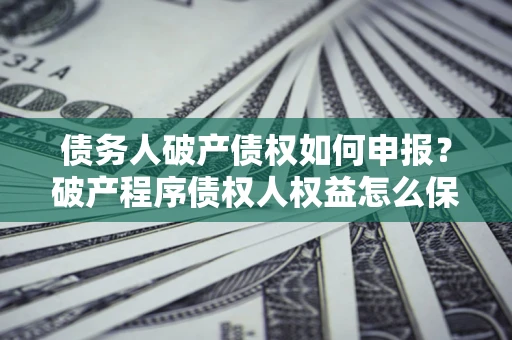 北京债务人破产债权如何申报？破产程序债权人权益怎么保障？