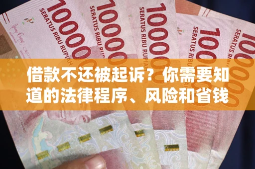 北京借款不还被起诉？你需要知道的法律程序、风险和省钱技巧